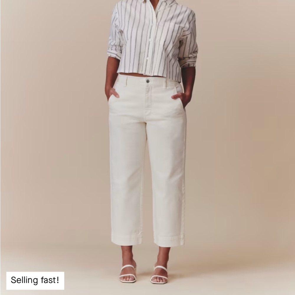 Everlane Straight Leg Utility Pant